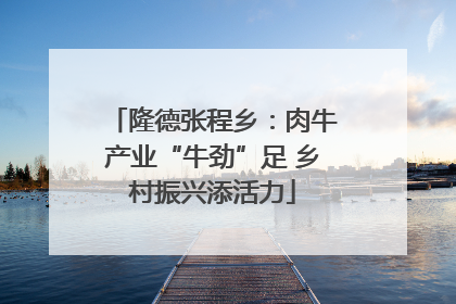 隆德张程乡：肉牛产业“牛劲”足 乡村振兴添活力