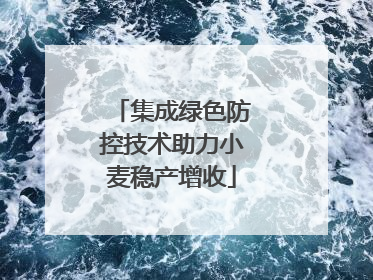 集成绿色防控技术助力小麦稳产增收