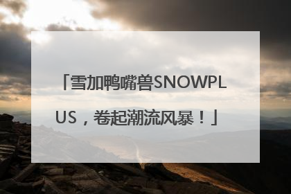 雪加鸭嘴兽SNOWPLUS，卷起潮流风暴！