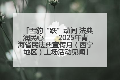雪豹“跃”动间 法典润民心——2025年青海省民法典宣传月（西宁地区）主场活动见闻