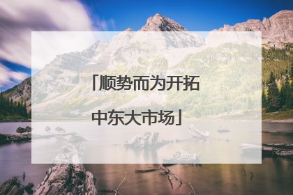 顺势而为开拓中东大市场