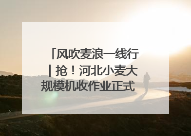 风吹麦浪一线行｜抢！河北小麦大规模机收作业正式拉开帷幕
