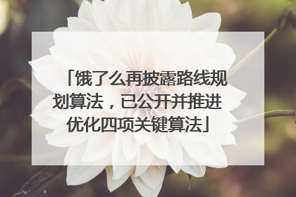 饿了么再披露路线规划算法，已公开并推进优化四项关键算法