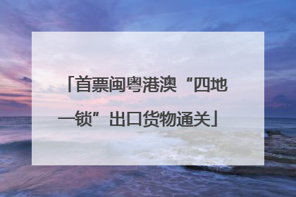 首票闽粤港澳“四地一锁”出口货物通关