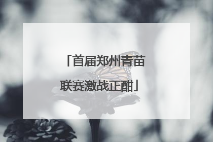 首届郑州青苗联赛激战正酣