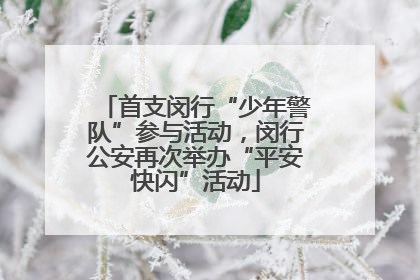 首支闵行“少年警队”参与活动，闵行公安再次举办“平安快闪”活动