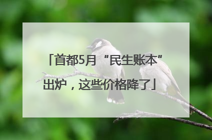 首都5月“民生账本”出炉，这些价格降了