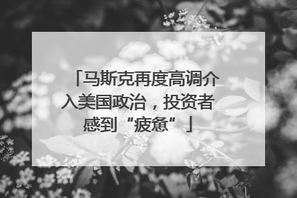 马斯克再度高调介入美国政治，投资者感到“疲惫”