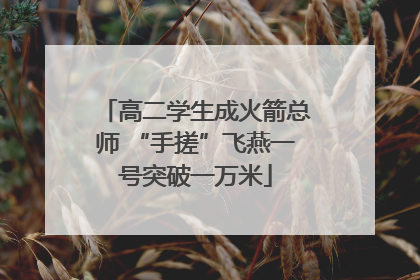 高二学生成火箭总师 “手搓”飞燕一号突破一万米