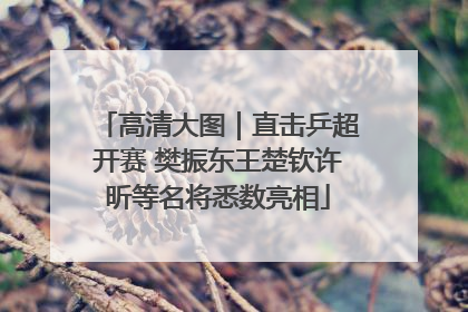 高清大图｜直击乒超开赛 樊振东王楚钦许昕等名将悉数亮相