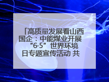 高质量发展看山西国企：中能煤业开展“6·5”世界环境日专题宣传活动 共筑绿色矿山