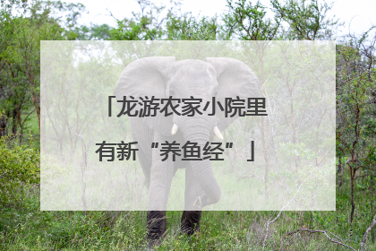 龙游农家小院里有新“养鱼经”