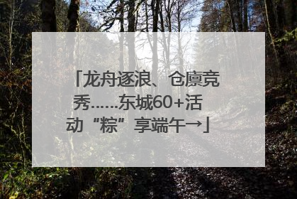 龙舟逐浪、仓廪竞秀……东城60+活动“粽”享端午→