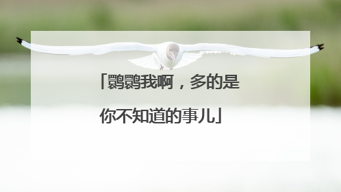 鹮鹮我啊，多的是你不知道的事儿