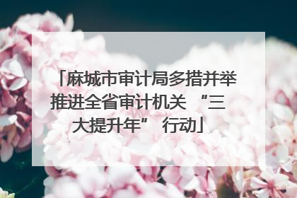 麻城市审计局多措并举推进全省审计机关 “三大提升年” 行动