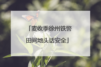 麦收季徐州铁警田间地头话安全