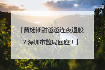 黄杨钿甜爸爸连夜退股？深圳市监局回应！