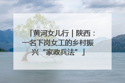 黄河女儿行｜陕西：一名下岗女工的乡村振兴“家政兵法”