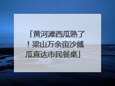 黄河滩西瓜熟了！梁山万余亩沙瓤瓜直达市民餐桌