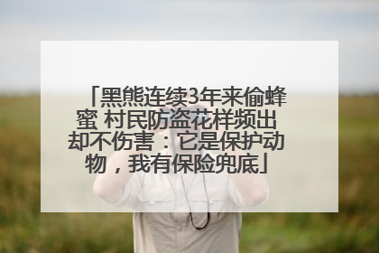 黑熊连续3年来偷蜂蜜 村民防盗花样频出却不伤害：它是保护动物，我有保险兜底