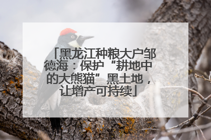 黑龙江种粮大户邹德海：保护“耕地中的大熊猫”黑土地，让增产可持续