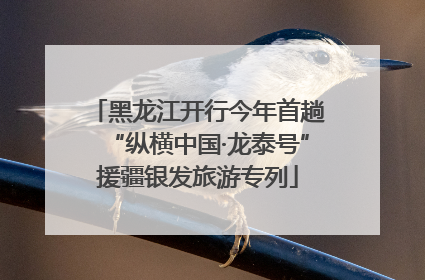 黑龙江开行今年首趟“纵横中国·龙泰号”援疆银发旅游专列
