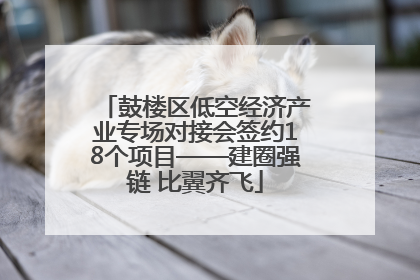 鼓楼区低空经济产业专场对接会签约18个项目——建圈强链 比翼齐飞