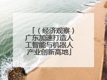 （经济观察）广东加速打造人工智能与机器人产业创新高地