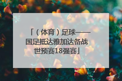 （体育）足球——国足抵达雅加达备战世预赛18强赛