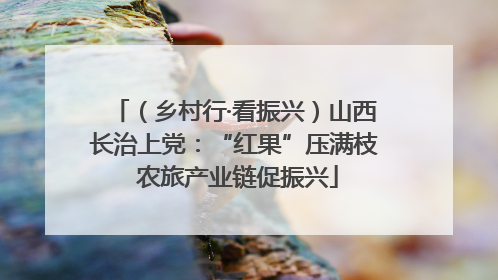 （乡村行·看振兴）山西长治上党：“红果”压满枝 农旅产业链促振兴