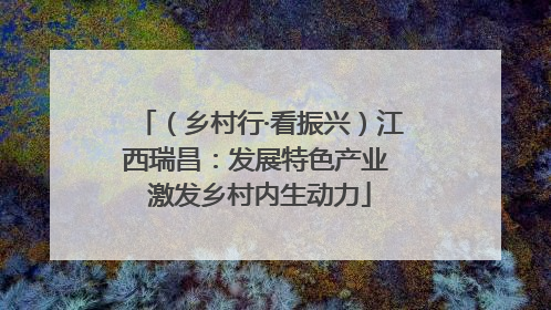 （乡村行·看振兴）江西瑞昌：发展特色产业 激发乡村内生动力