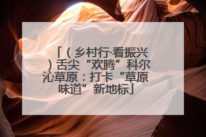 （乡村行·看振兴）舌尖“欢腾”科尔沁草原：打卡“草原味道”新地标