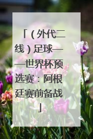 （外代二线）足球——世界杯预选赛：阿根廷赛前备战