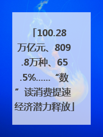 100.28万亿元、809.8万种、65.5%……“数”读消费提速 经济潜力释放