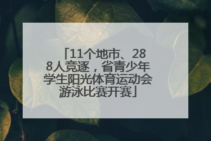 11个地市、288人竞逐，省青少年学生阳光体育运动会游泳比赛开赛