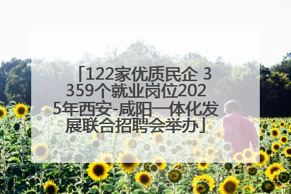 122家优质民企 3359个就业岗位2025年西安-咸阳一体化发展联合招聘会举办