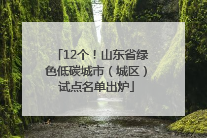12个！山东省绿色低碳城市（城区）试点名单出炉
