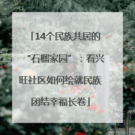14个民族共居的“石榴家园”：看兴旺社区如何绘就民族团结幸福长卷