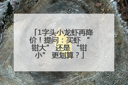 1字头小龙虾再降价！提问：买虾 “钳大” 还是 “钳小” 更划算？