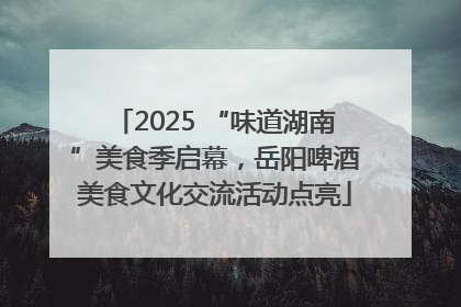 2025 “味道湖南”美食季启幕，岳阳啤酒美食文化交流活动点亮