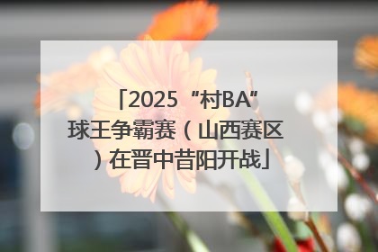 2025“村BA”球王争霸赛（山西赛区）在晋中昔阳开战