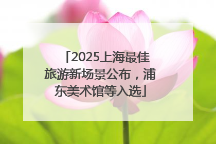 2025上海最佳旅游新场景公布，浦东美术馆等入选