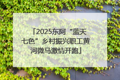 2025东阿“蓝天七色”乡村振兴职工黄河微马激情开跑