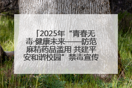 2025年“青春无毒·健康未来——防范麻精药品滥用 共建平安和谐校园”禁毒宣传专题活动在咸宁举行