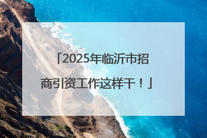 2025年临沂市招商引资工作这样干！