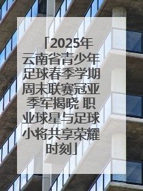 2025年云南省青少年足球春季学期周末联赛冠亚季军揭晓 职业球星与足球小将共享荣耀时刻