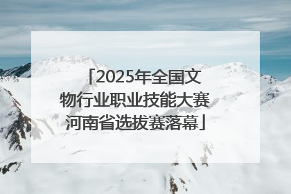2025年全国文物行业职业技能大赛河南省选拔赛落幕