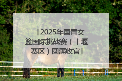 2025年国青女篮国际挑战赛（十堰赛区）圆满收官