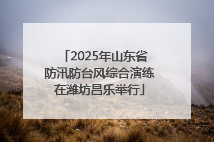 2025年山东省防汛防台风综合演练在潍坊昌乐举行