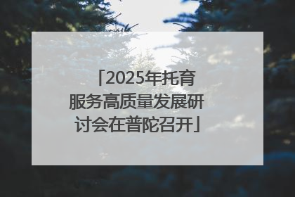 2025年托育服务高质量发展研讨会在普陀召开